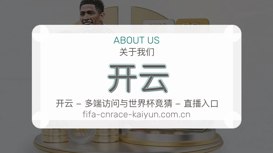开云服务说明